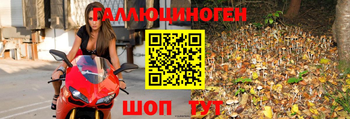 Сочи  Псилоцибиновые грибы GOLDEN TEACHER  Вход с VPN  Галлюциногенные грибы Cubensis 
